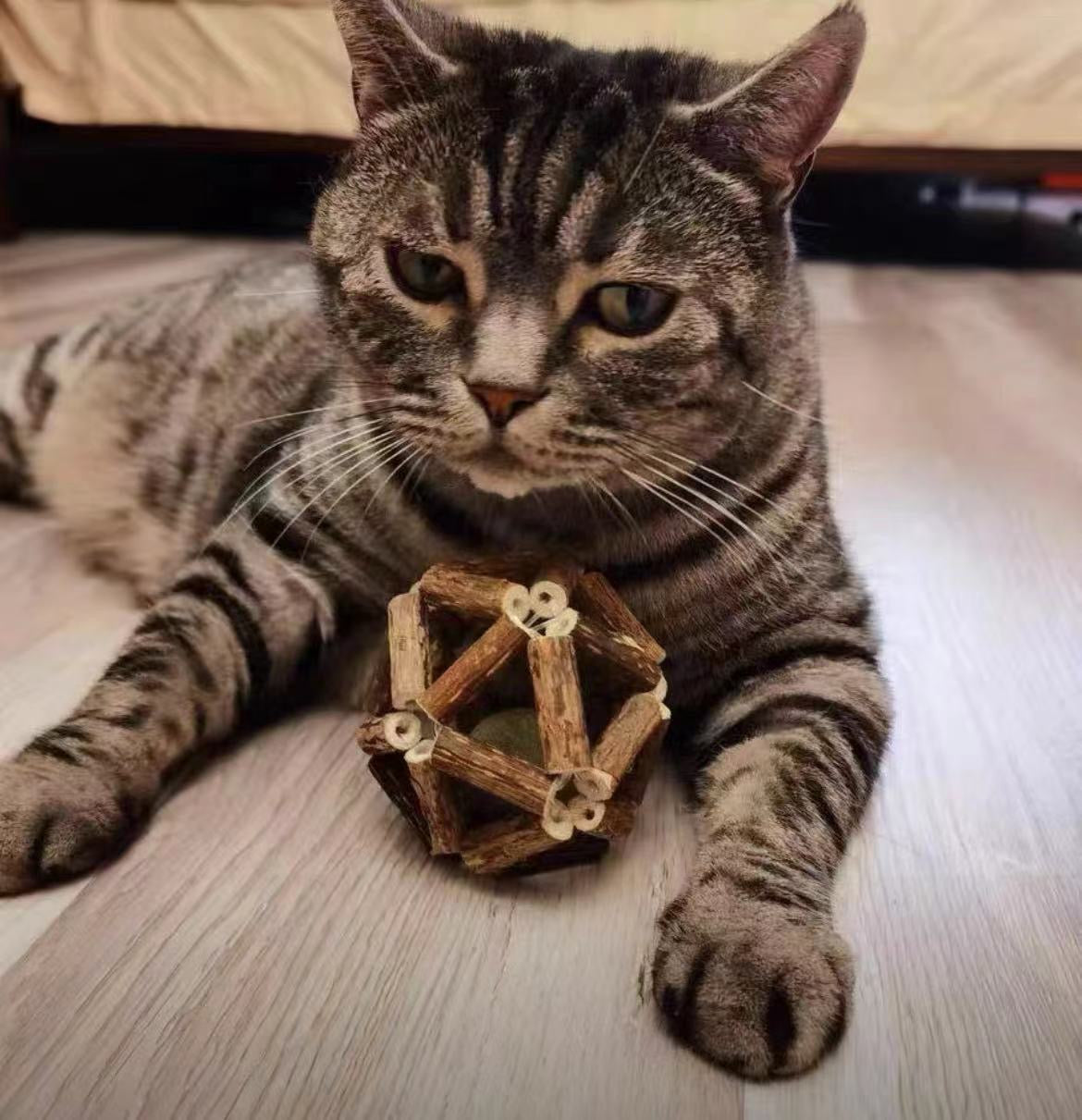 带猫薄荷球的银藤玩具