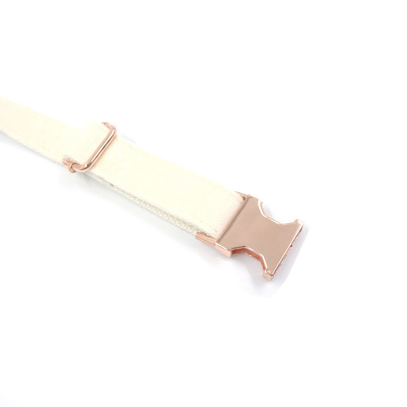 White Velour Collar Leash Bowtie