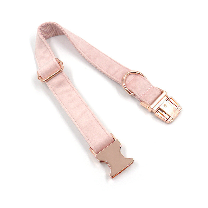 Champagne Pink Velour Collar Leash Bowtie