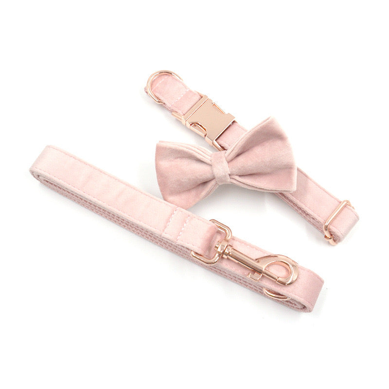 Champagne Pink Velour Collar Leash Bowtie