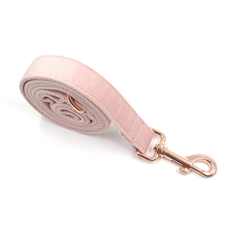 Champagne Pink Velour Collar Leash Bowtie