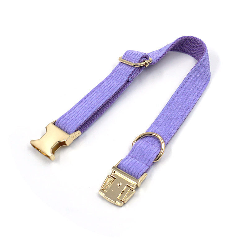 Bright Purple Collar Leash Bowtie