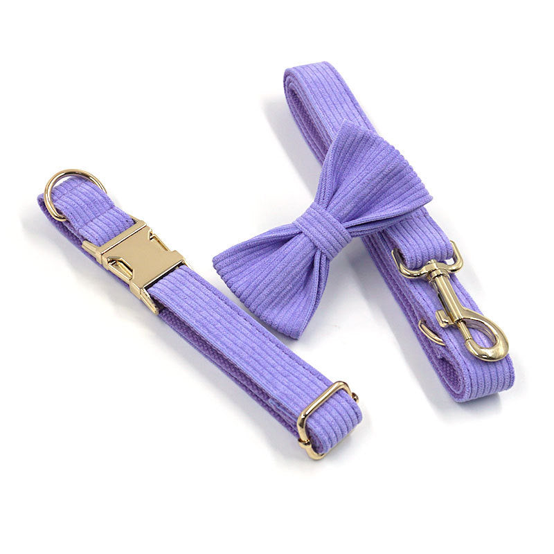 Bright Purple Collar Leash Bowtie