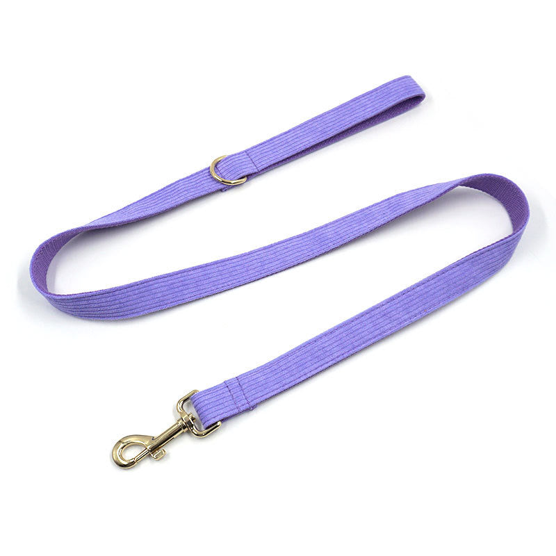 Bright Purple Collar Leash Bowtie
