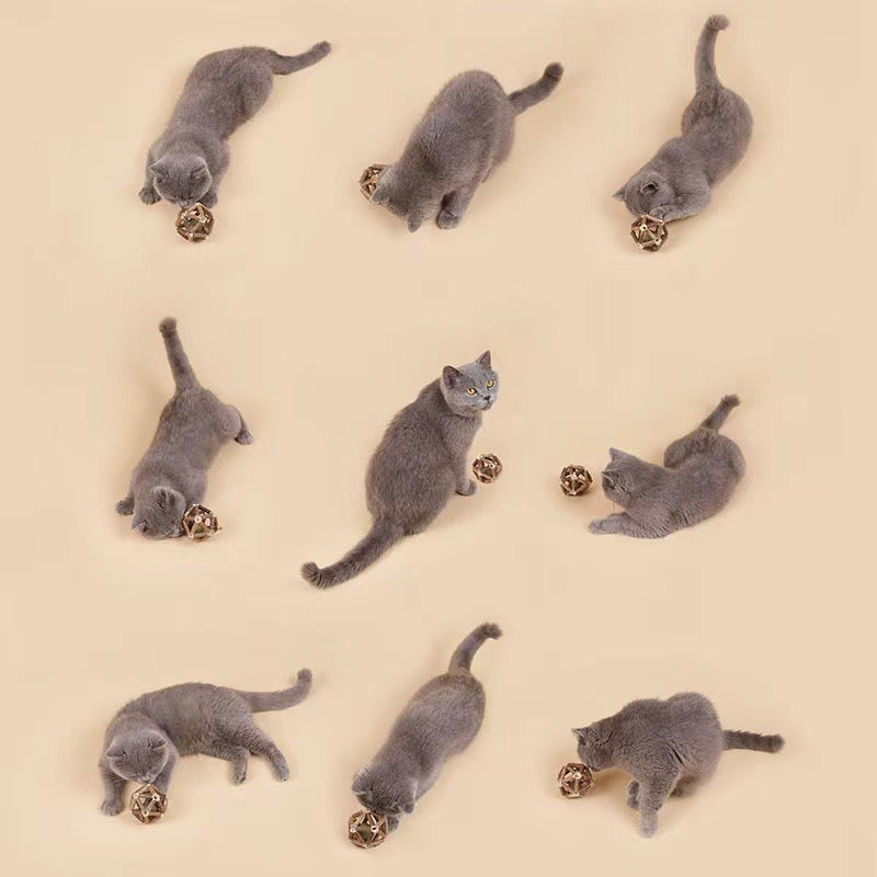 带猫薄荷球的银藤玩具