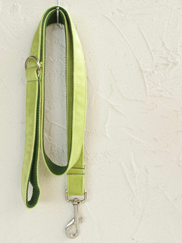 Green Velour Collar Leash Bowtie