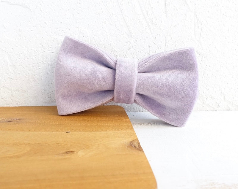 Lavender Velour Collar Leash Bowtie
