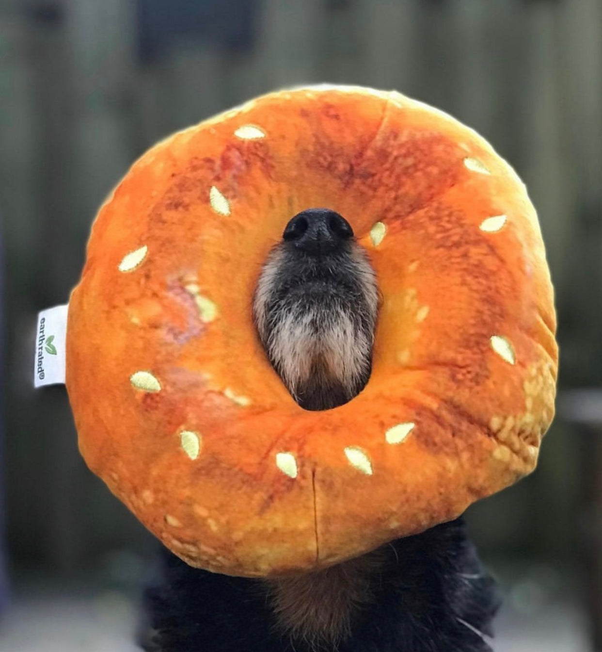Montreal Munchies Toys