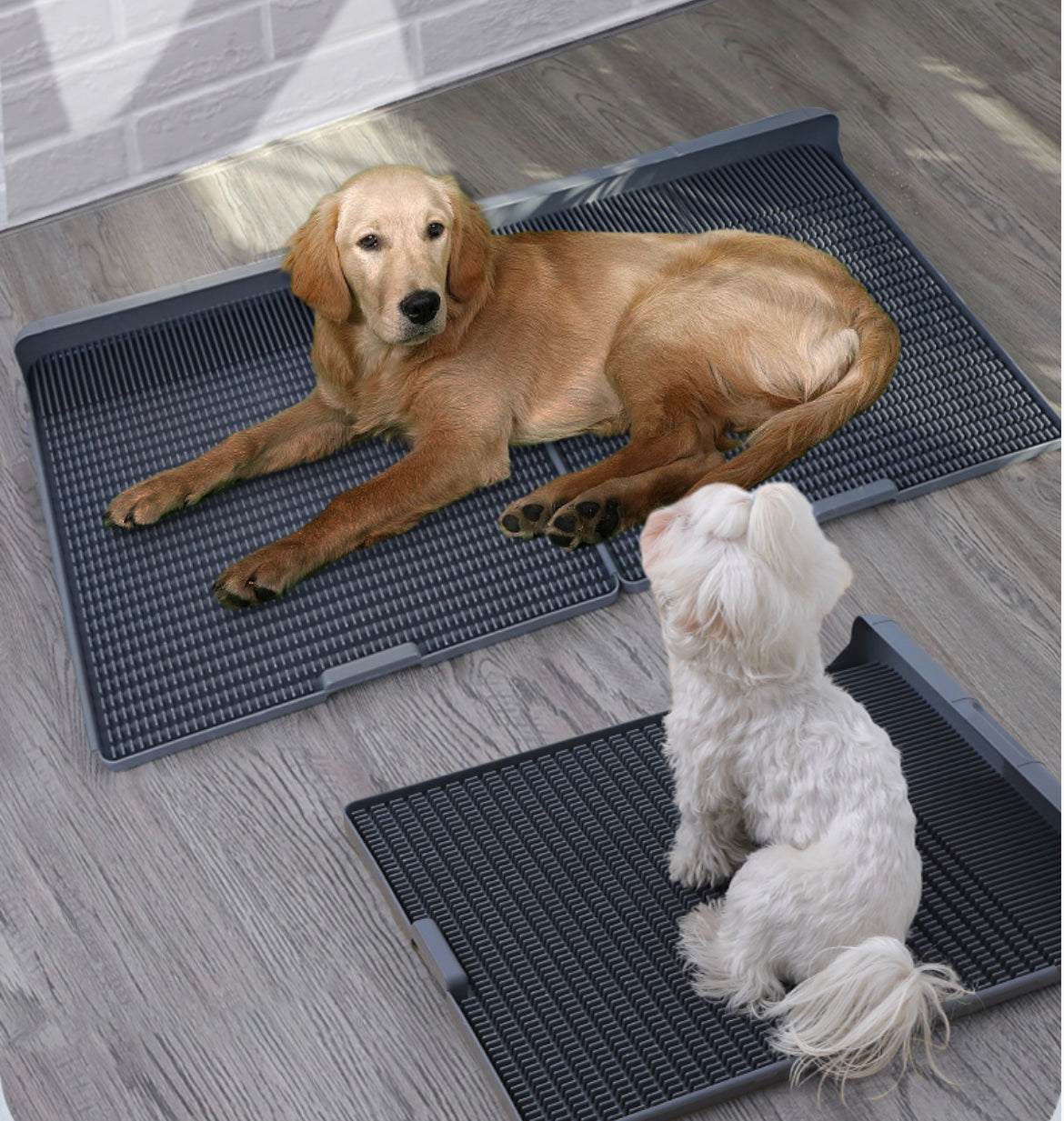 Dog Toilet