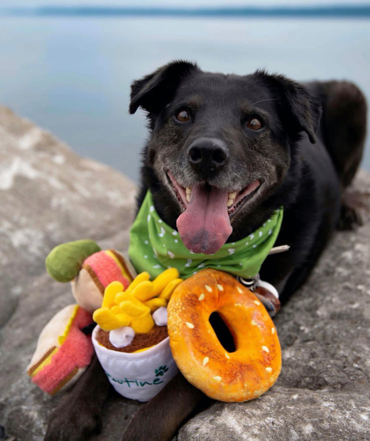 Montreal Munchies Toys