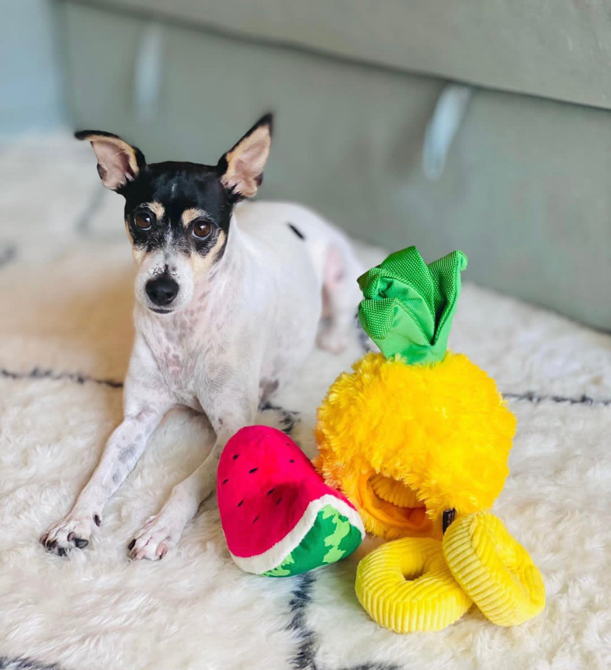 Tropical Paradise Toys