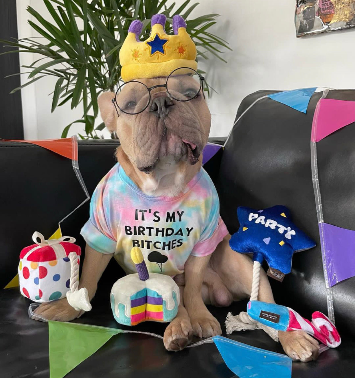 Party Time Toys