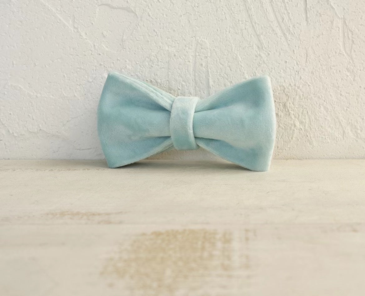 Teal Velour Collar Leash Bowtie