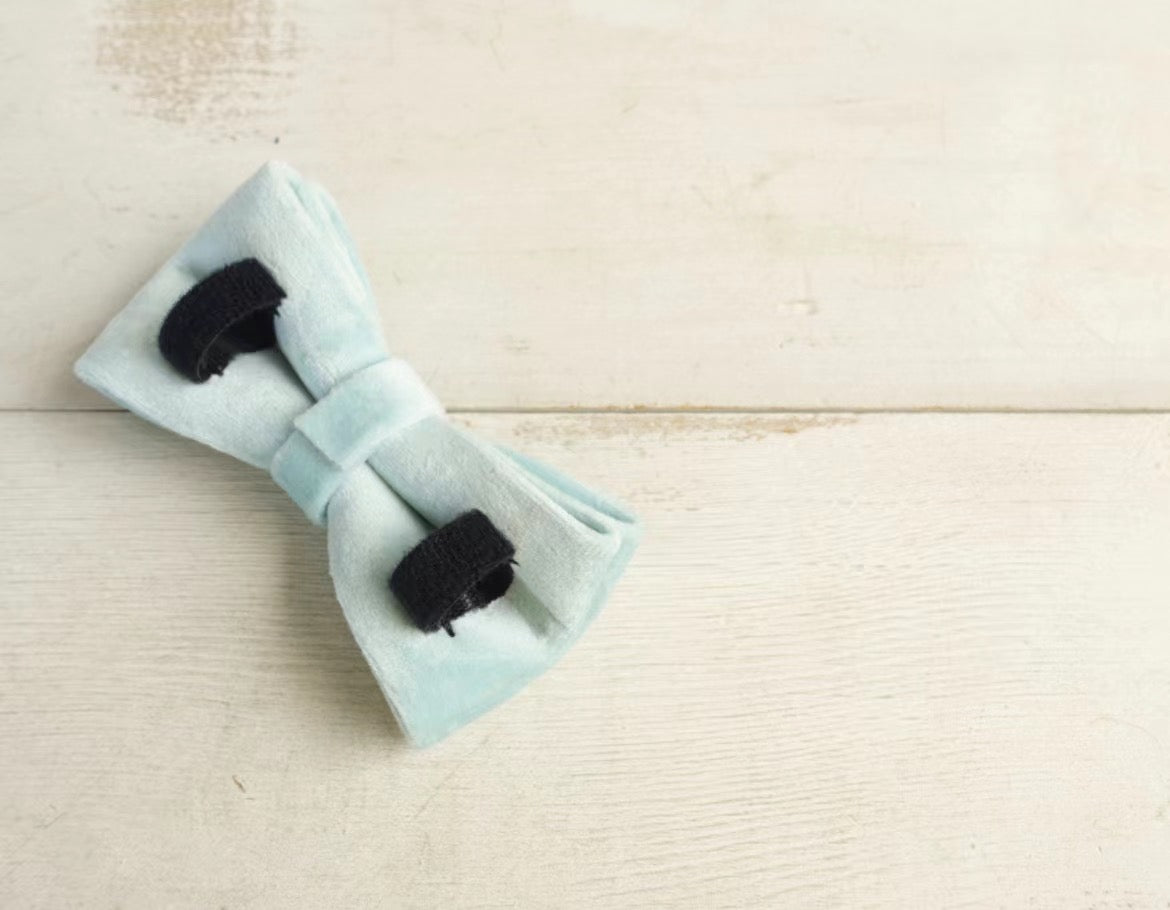Teal Velour Collar Leash Bowtie