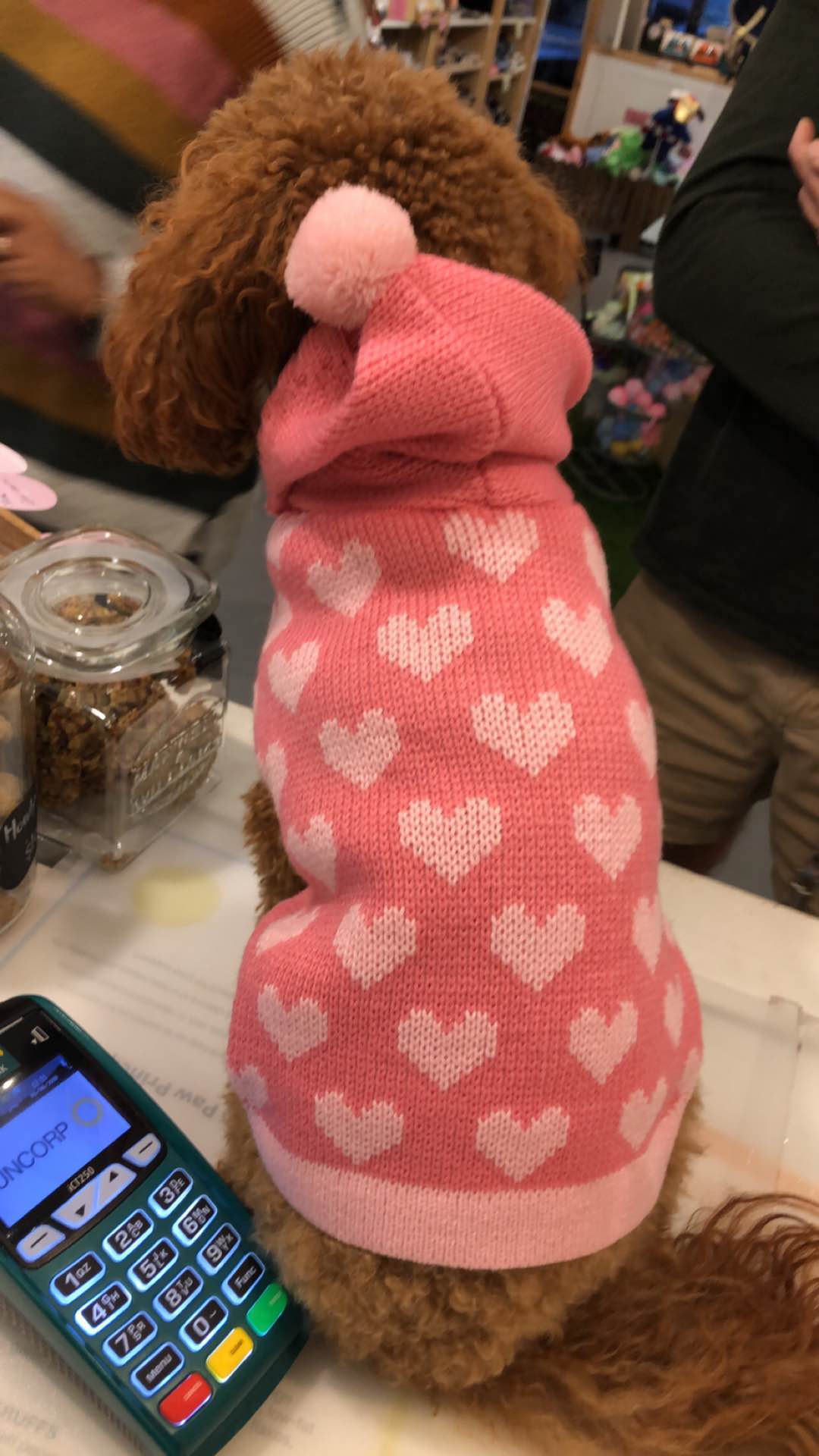 Pet Jumper with Hearts Online Only