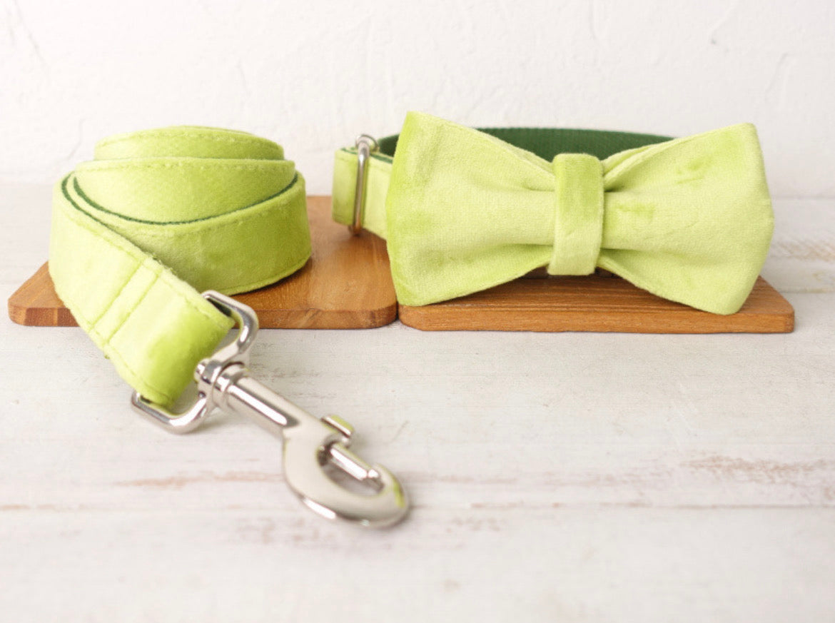 Green Velour Collar Leash Bowtie