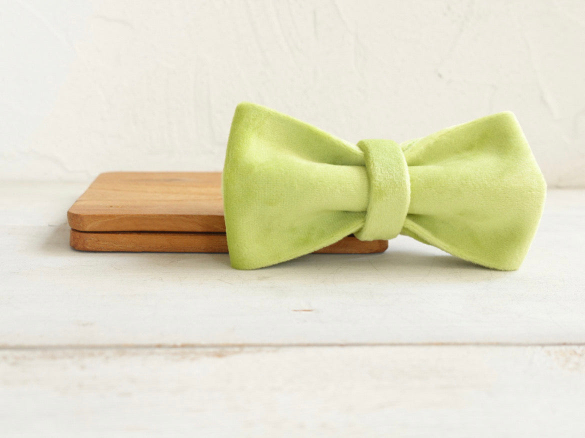 Green Velour Collar Leash Bowtie