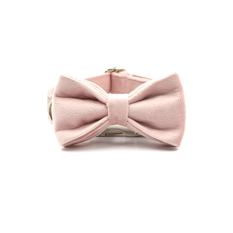 Champagne Pink Velour Collar Leash Bowtie