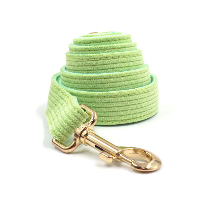 Bright Green Collar Leash Bowtie