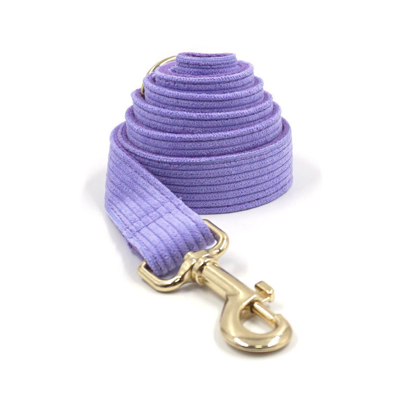 Bright Purple Collar Leash Bowtie