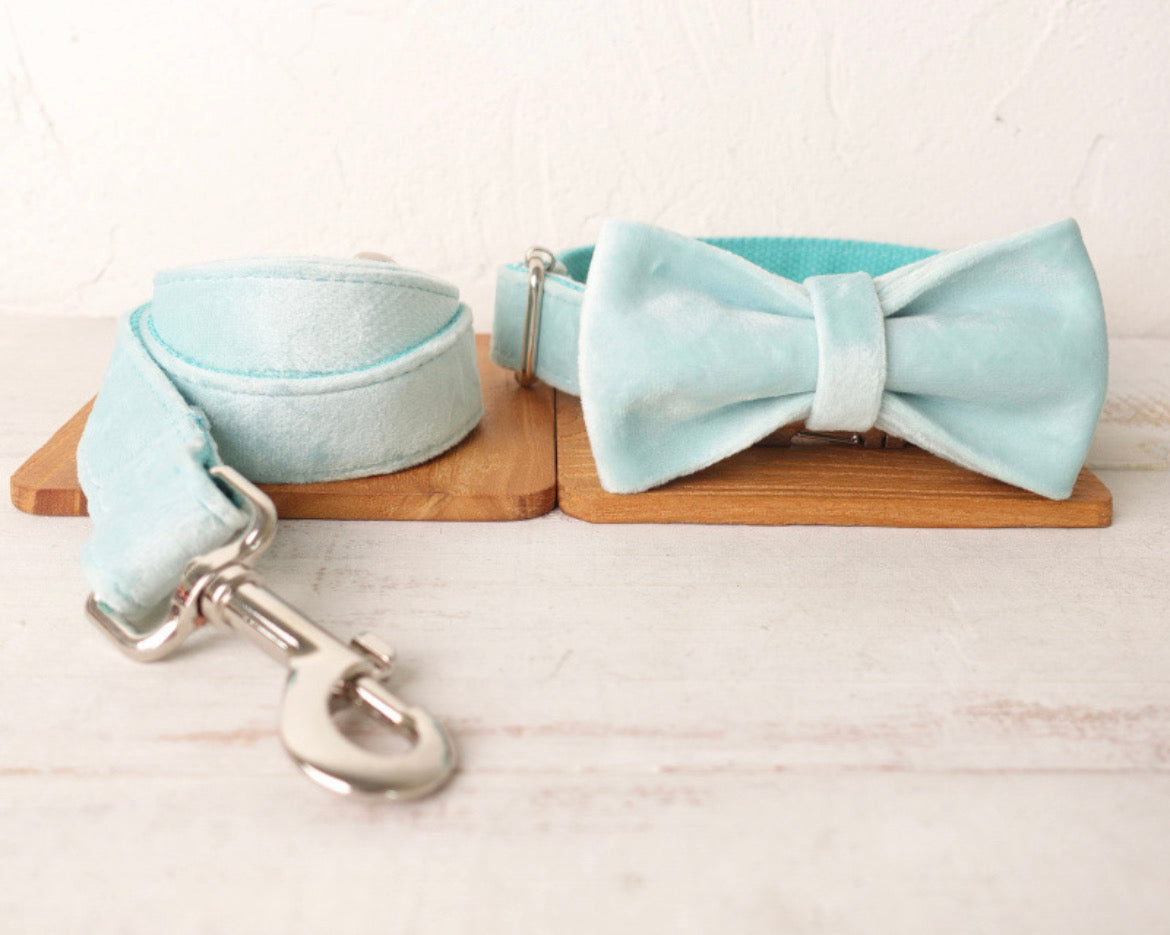 Teal Velour Collar Leash Bowtie
