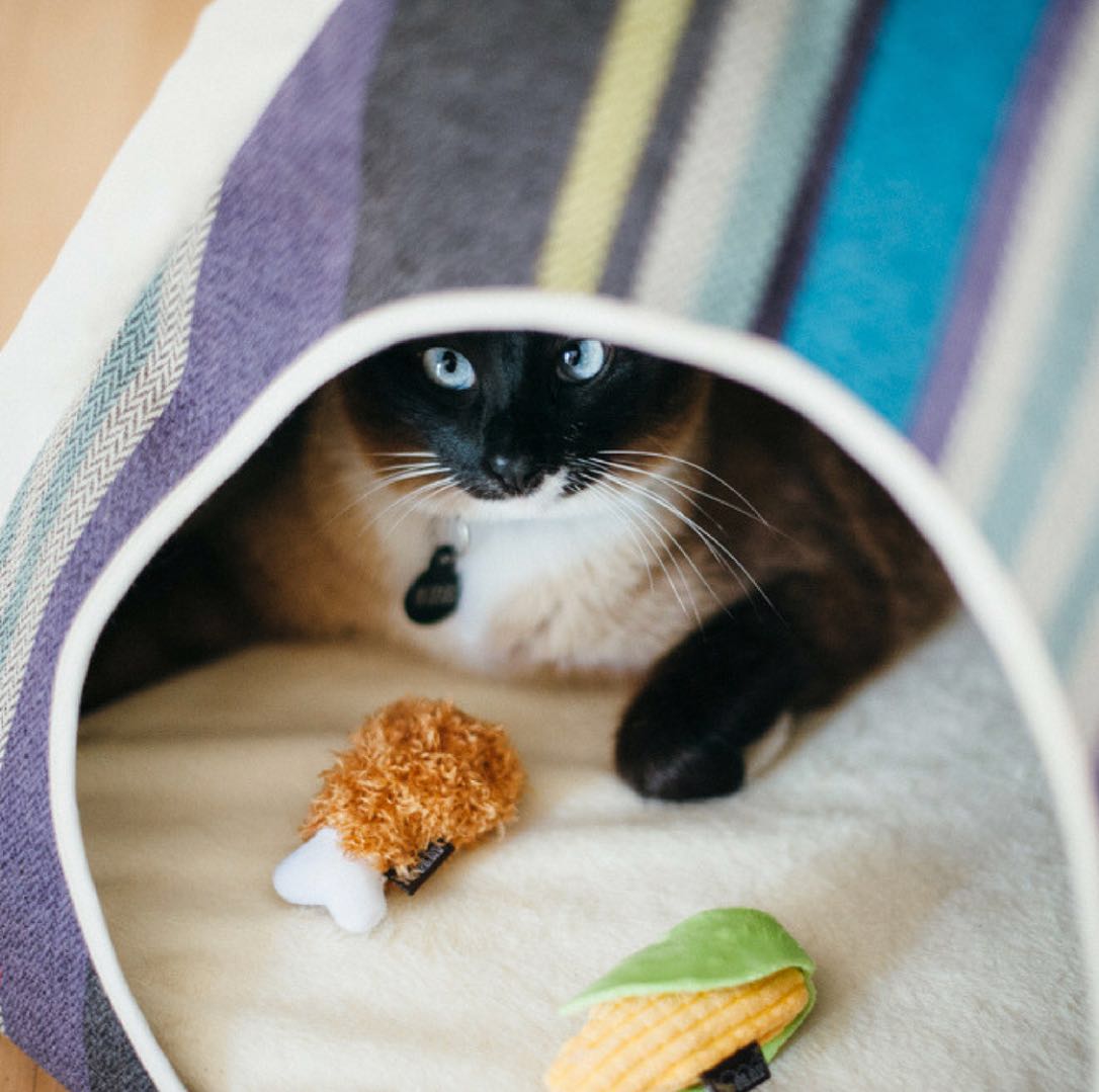 巴士猫薄荷玩具