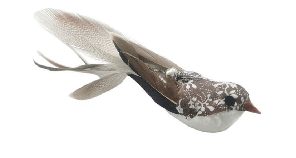 Wooden Handle Cat Teaser