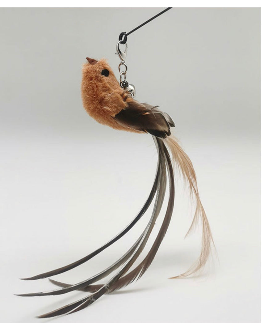 Wooden Handle Cat Teaser