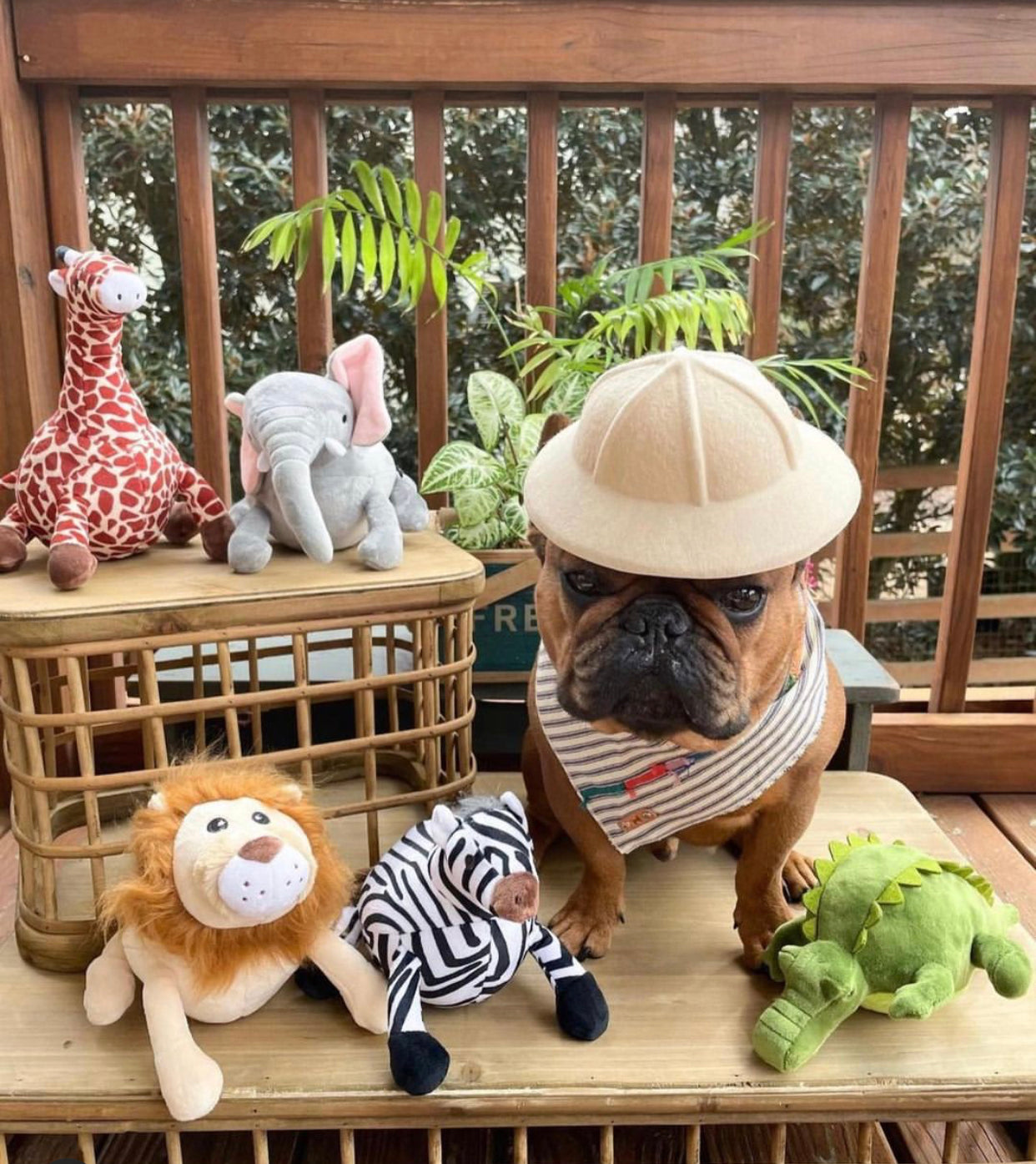 游猎玩具