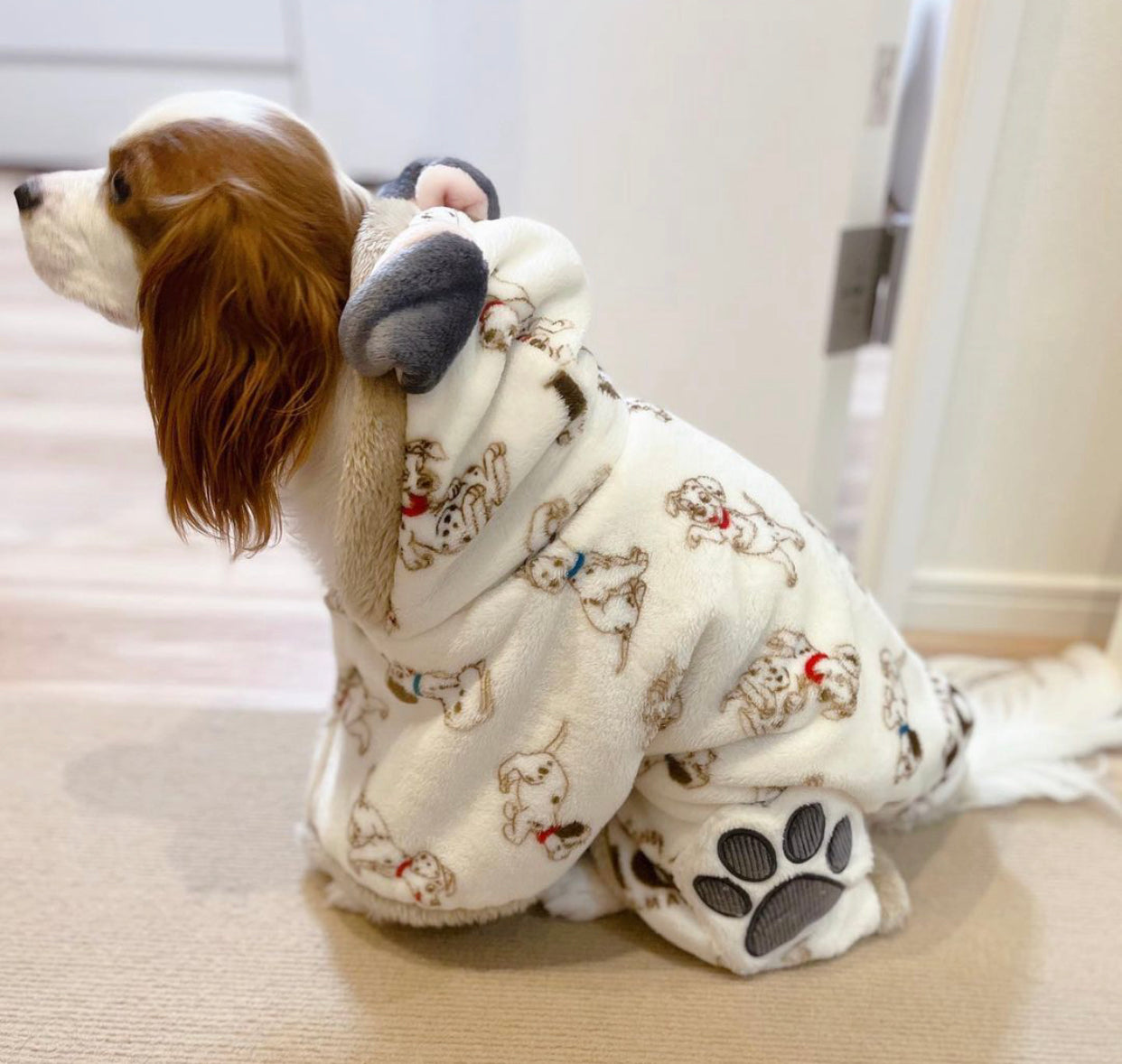 101 Dalmatians Blankets to Wear - Online Only