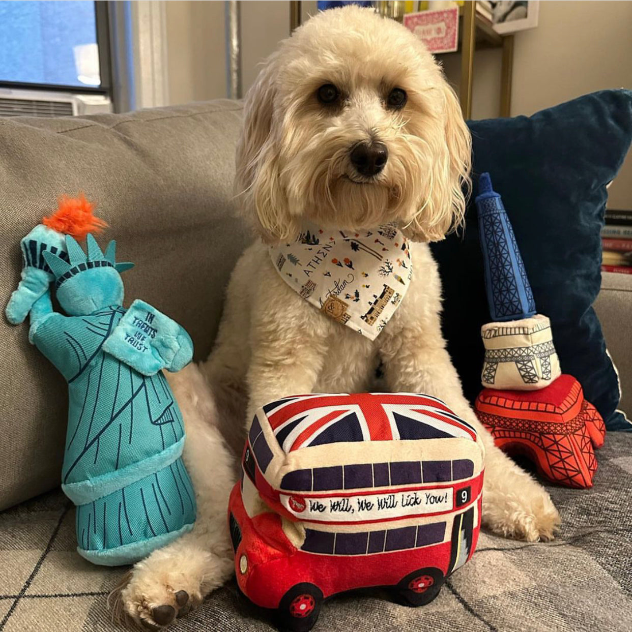 Canine Commute