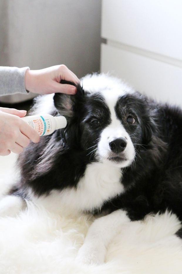 PAW Gentle Ear Cleaner 120ml