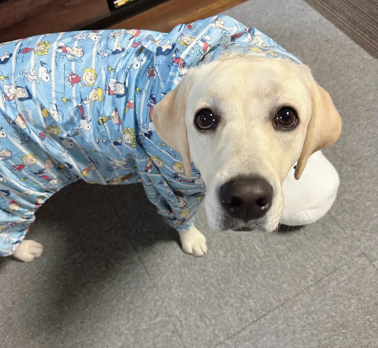 Snoopy Raincoat with 4 legs M-L
