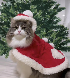 Christmas Santa Cape