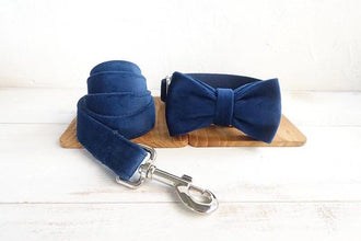 Navy Velour Collar Leash Bowtie