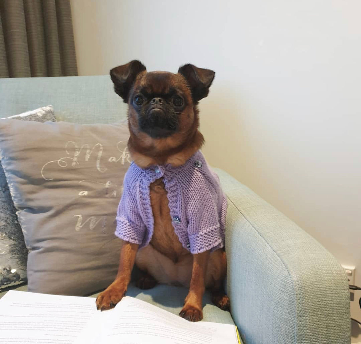 Removable Hood Pet Cardigan Online Only