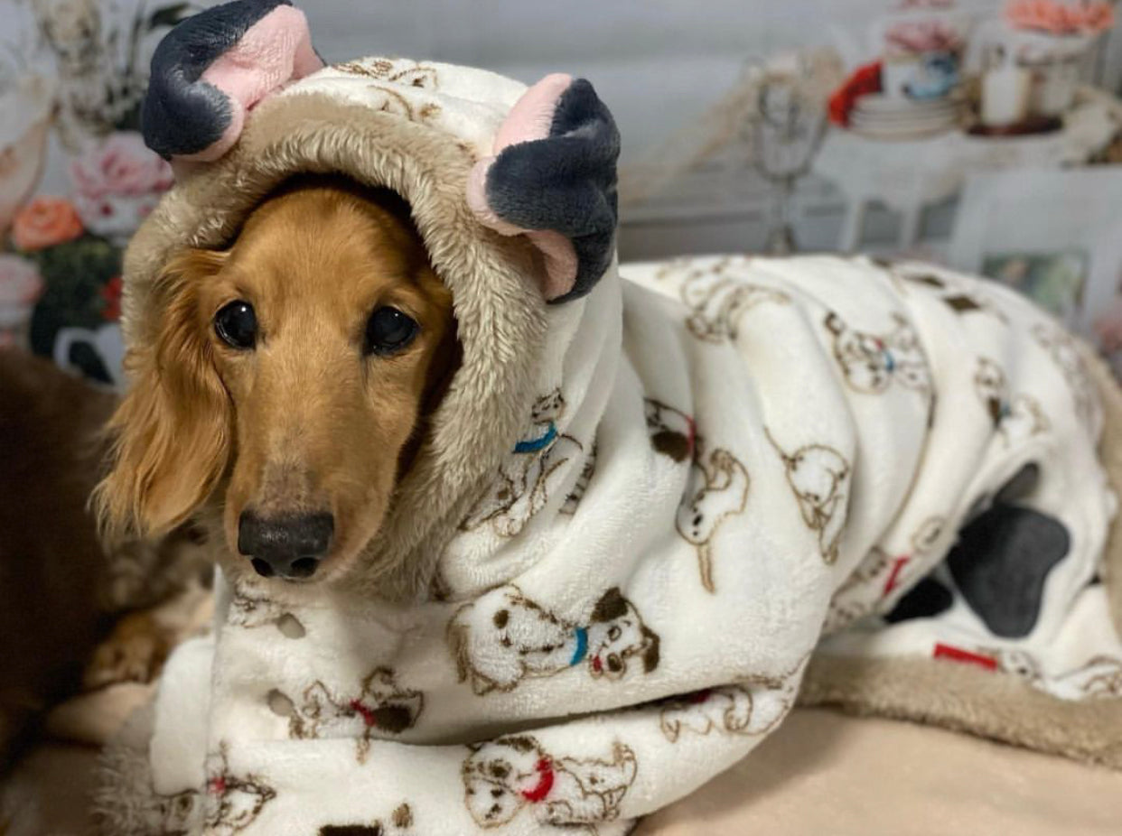 101 Dalmatians Blankets to Wear - Online Only