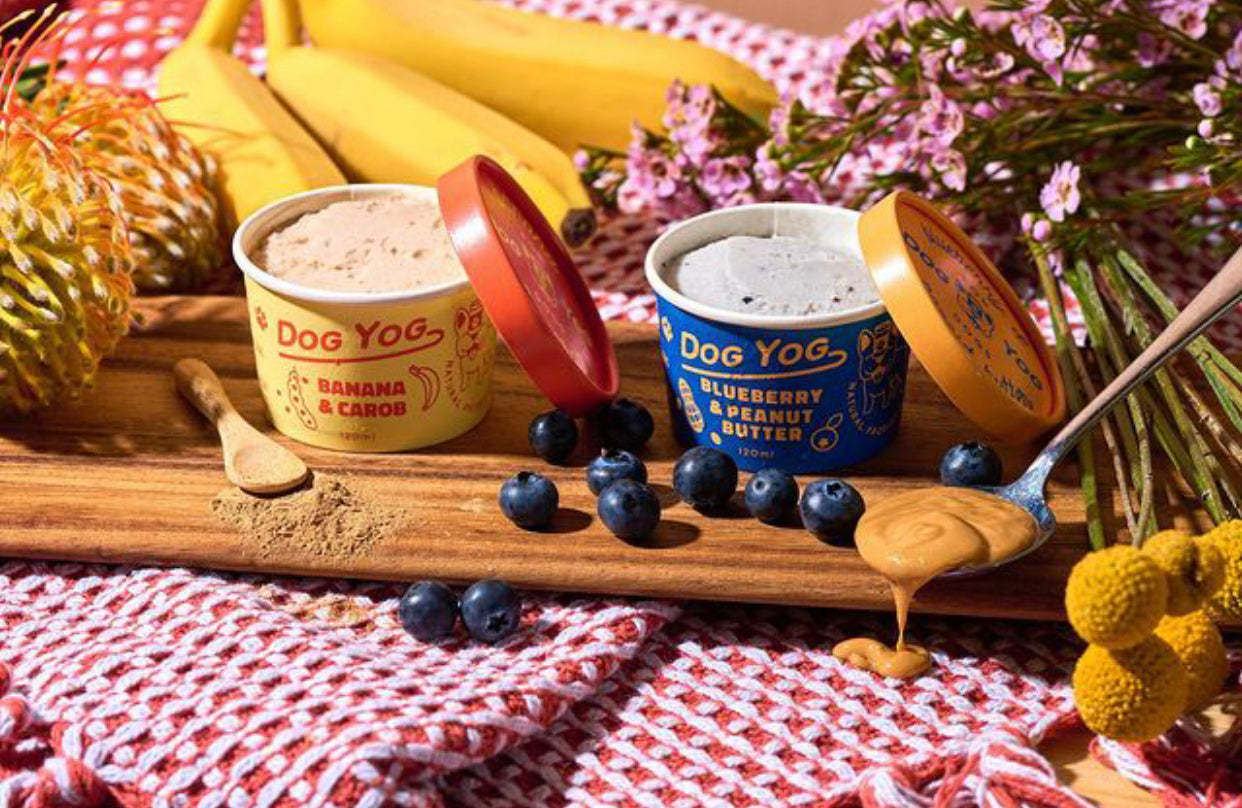 Ice Cream - Blueberry & Peanut Butter 120ml
