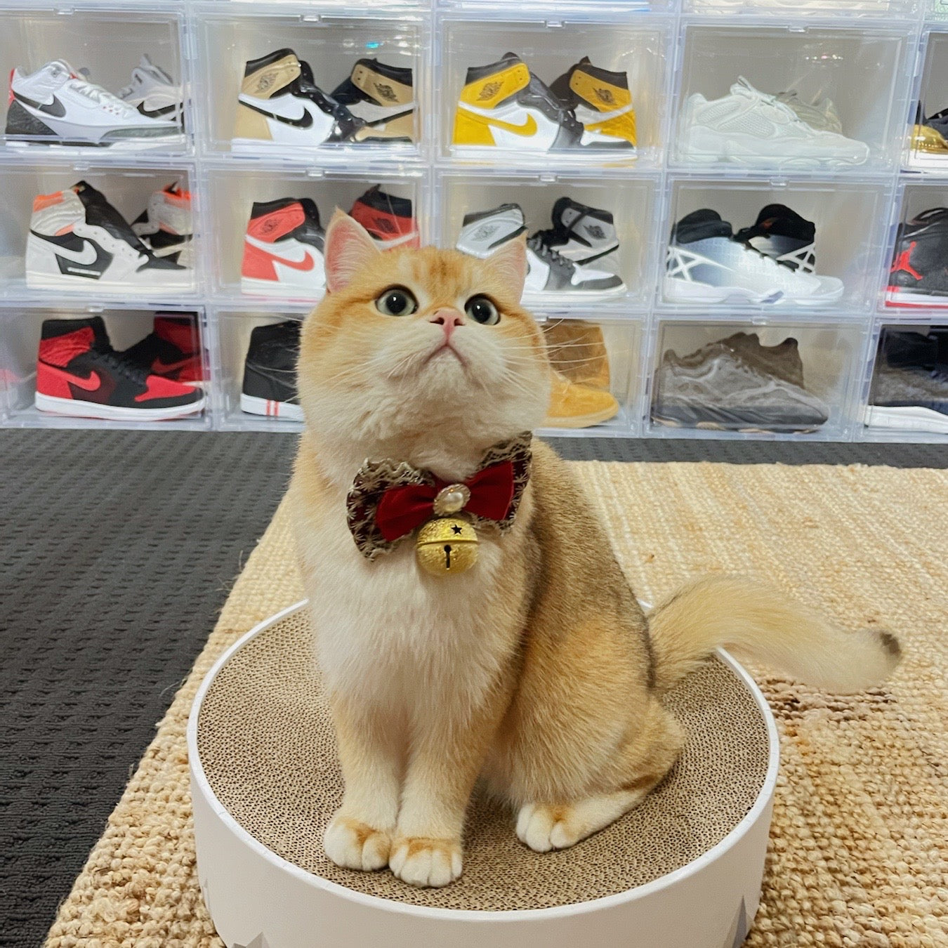 脸红