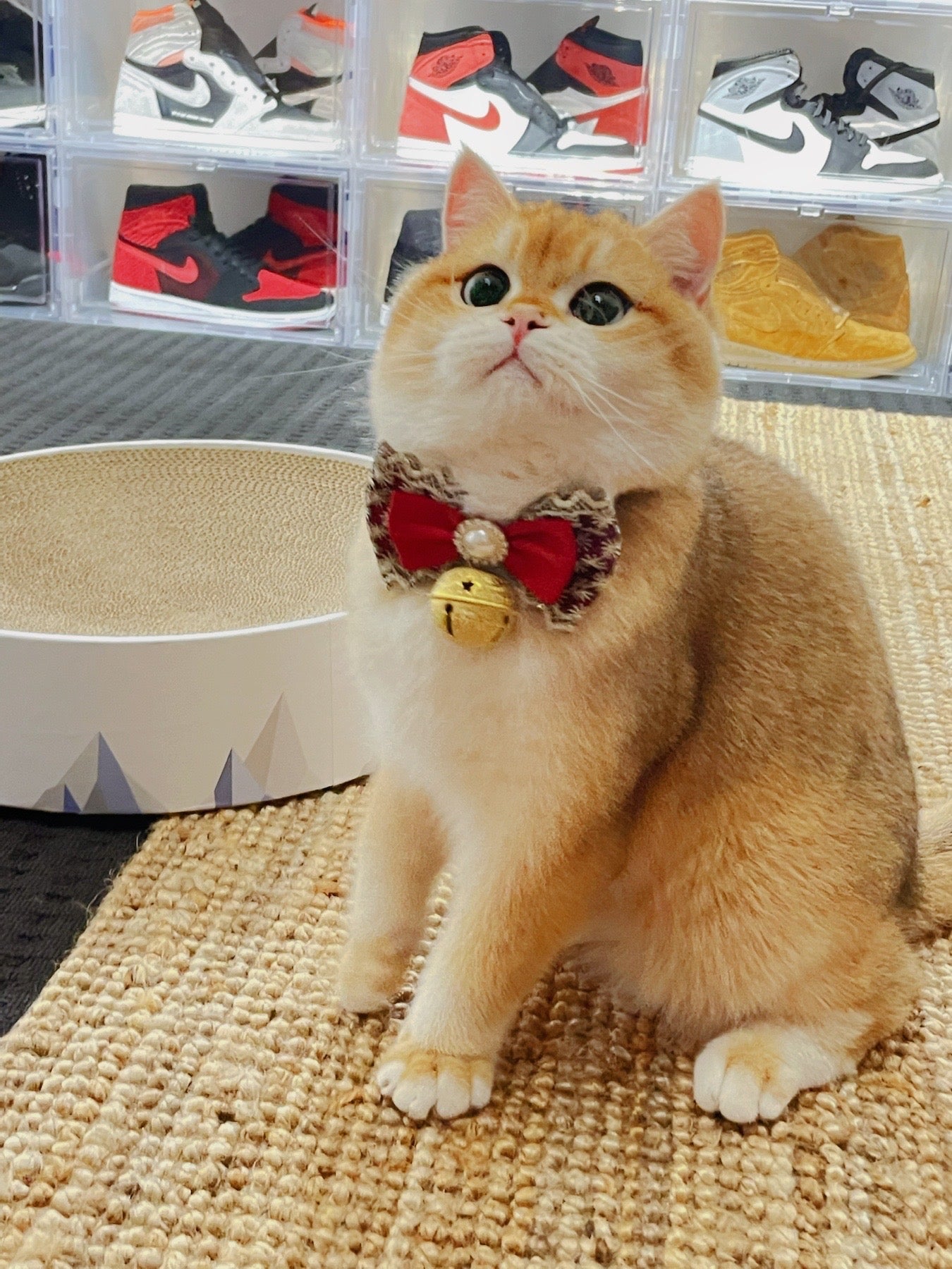 脸红