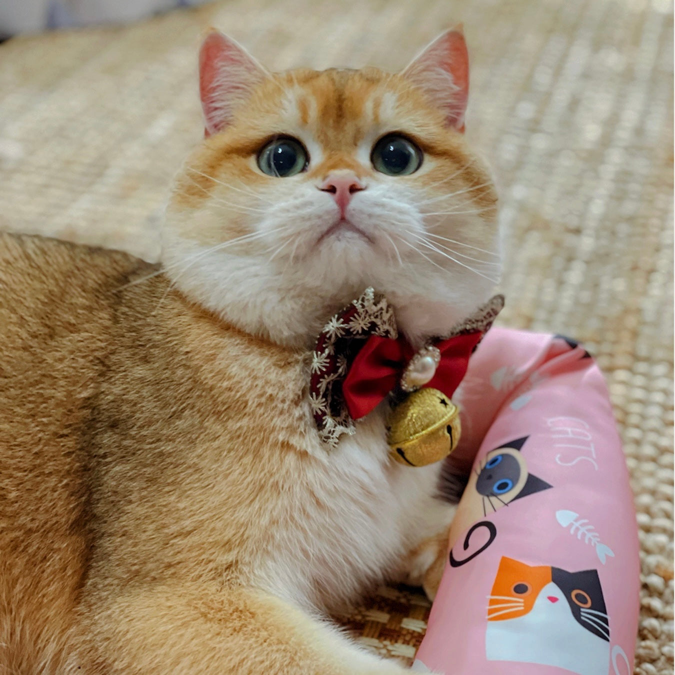 脸红