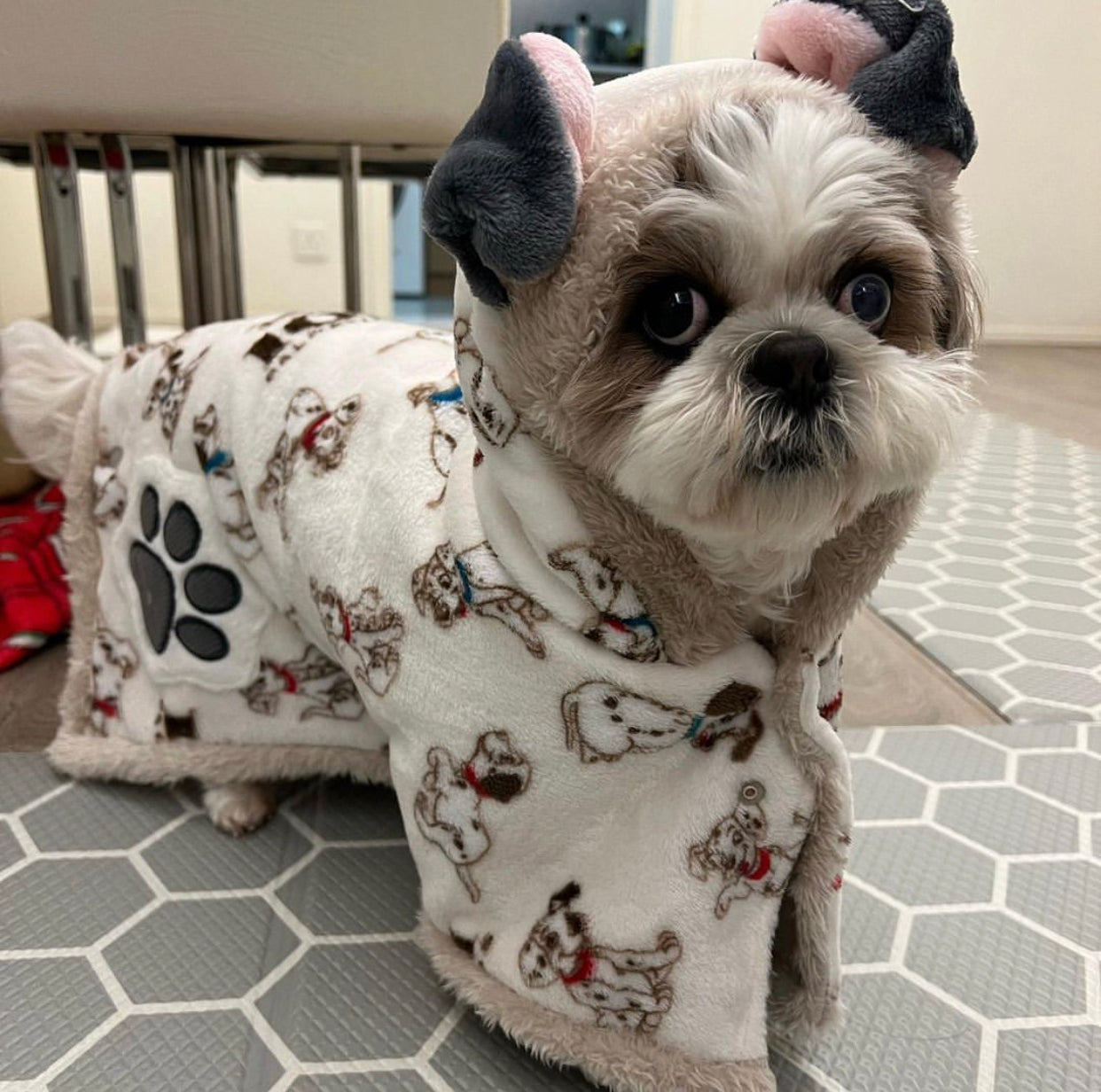 101 Dalmatians Blankets to Wear - Online Only