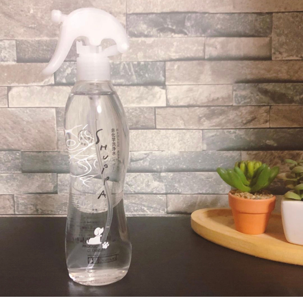 PetLab 尿渍和异味去除剂 1L