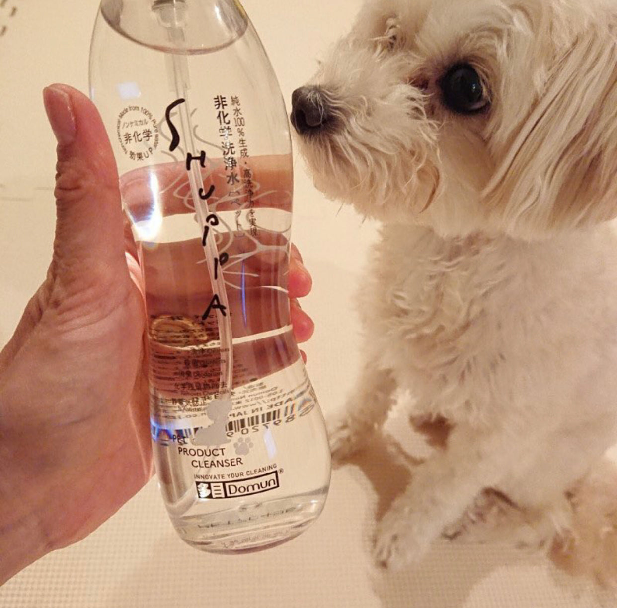 PetLab 尿渍和异味去除剂 1L