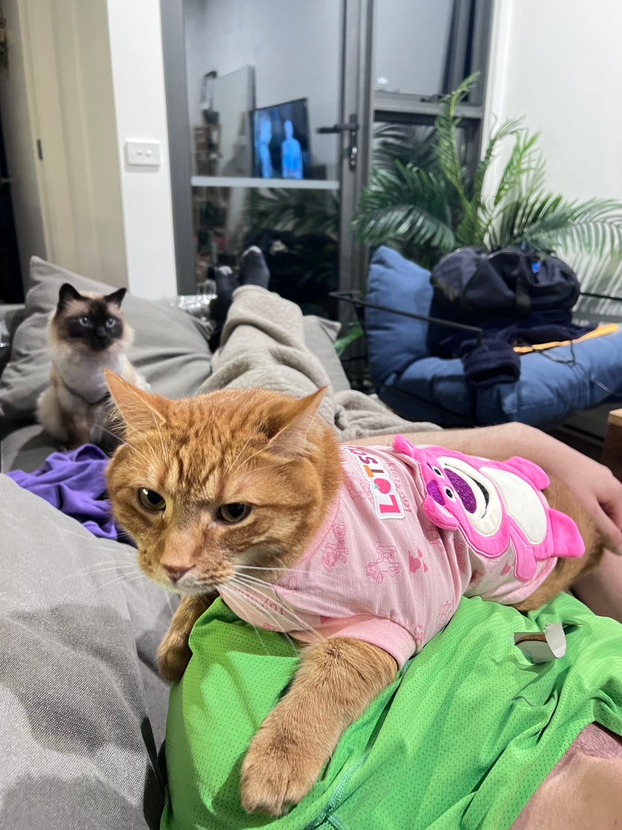 迪士尼小熊维尼蜜罐衬衫