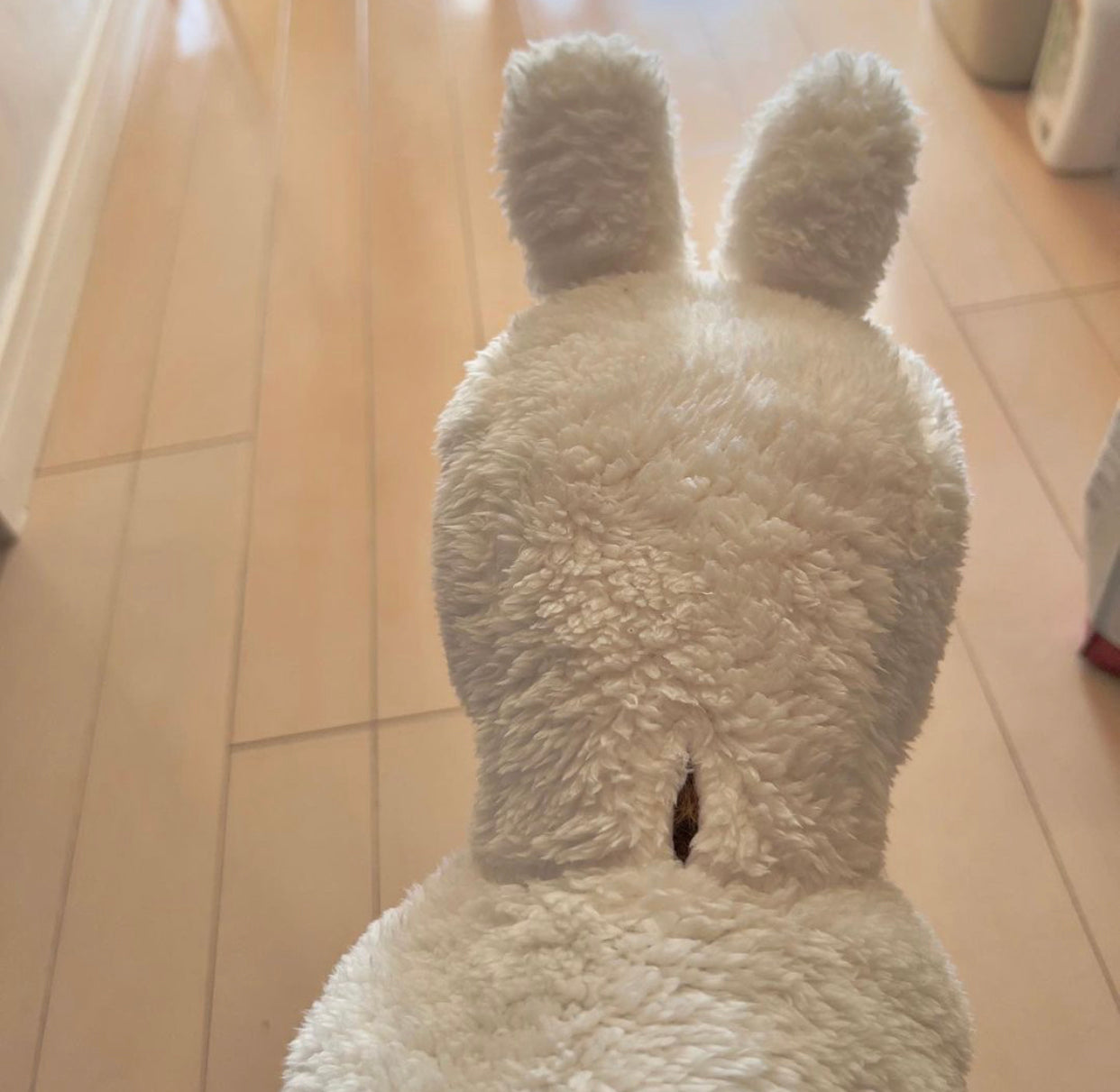 Rabbit Hoodie - Online Only
