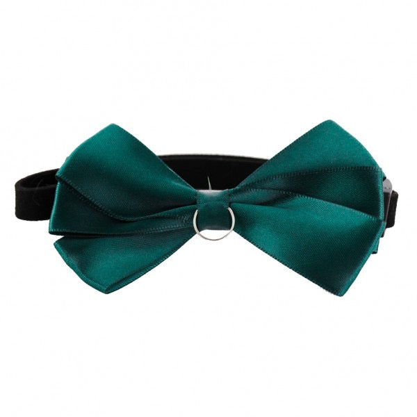 Lost in Forest Bowtie