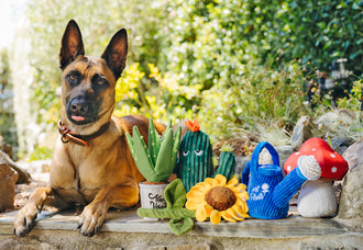 Blooming Buddies Toys