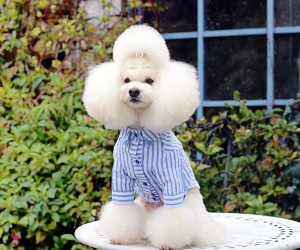 Blue Stripes Shirt Online Only