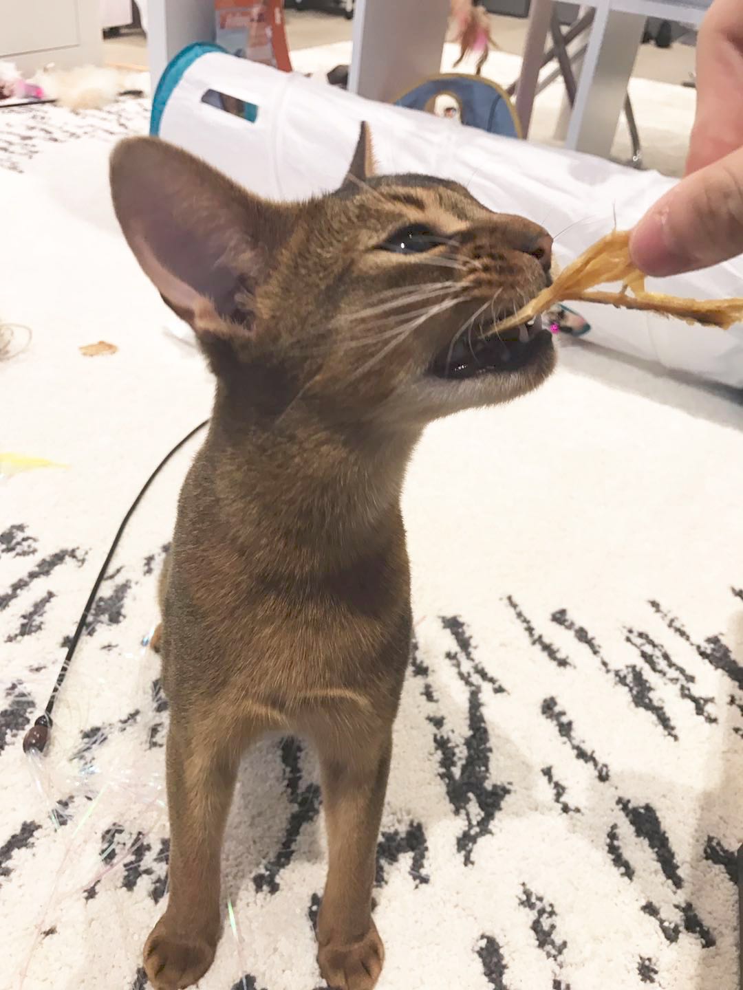 Aussie Chicken Jerky 150g